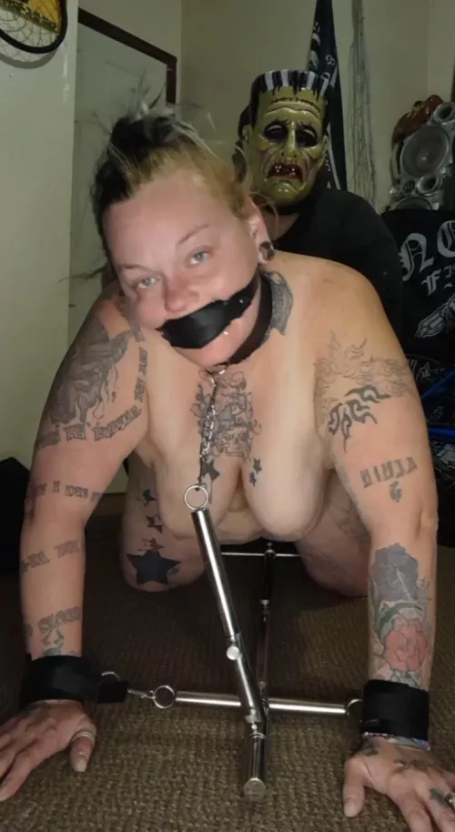 I miss being in my travel stockade. Usually hubby sets it up on the living room table