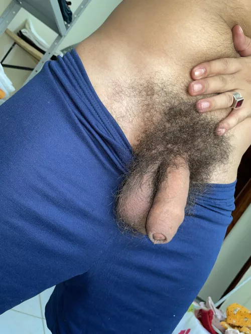 My bush and my soft cock with its foreskin
