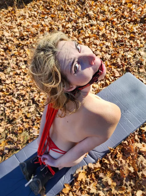 now you can use me as you please