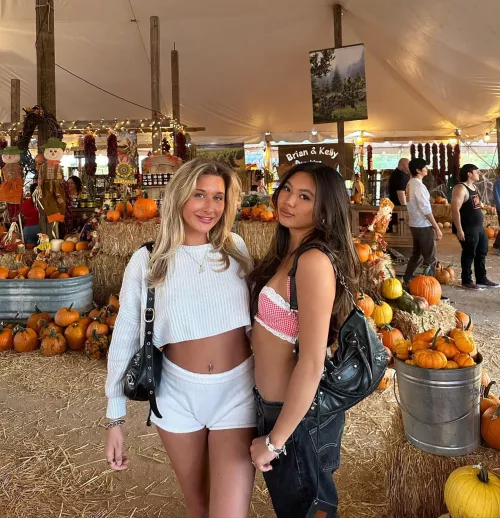 Pumpkin picking