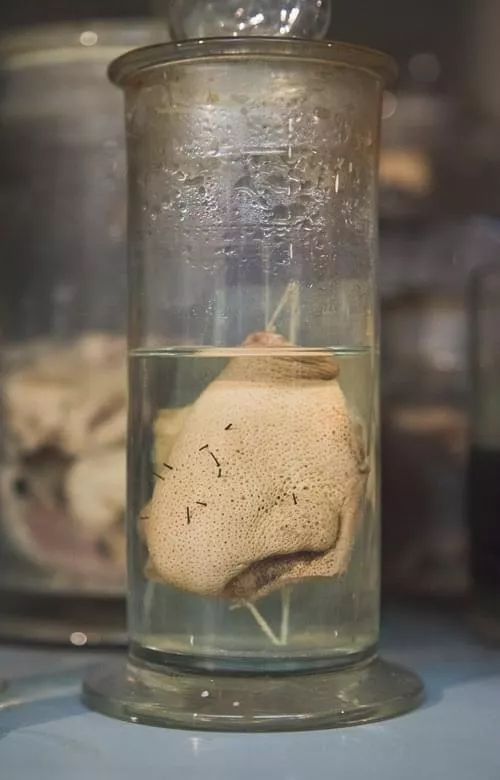 Something a little different…