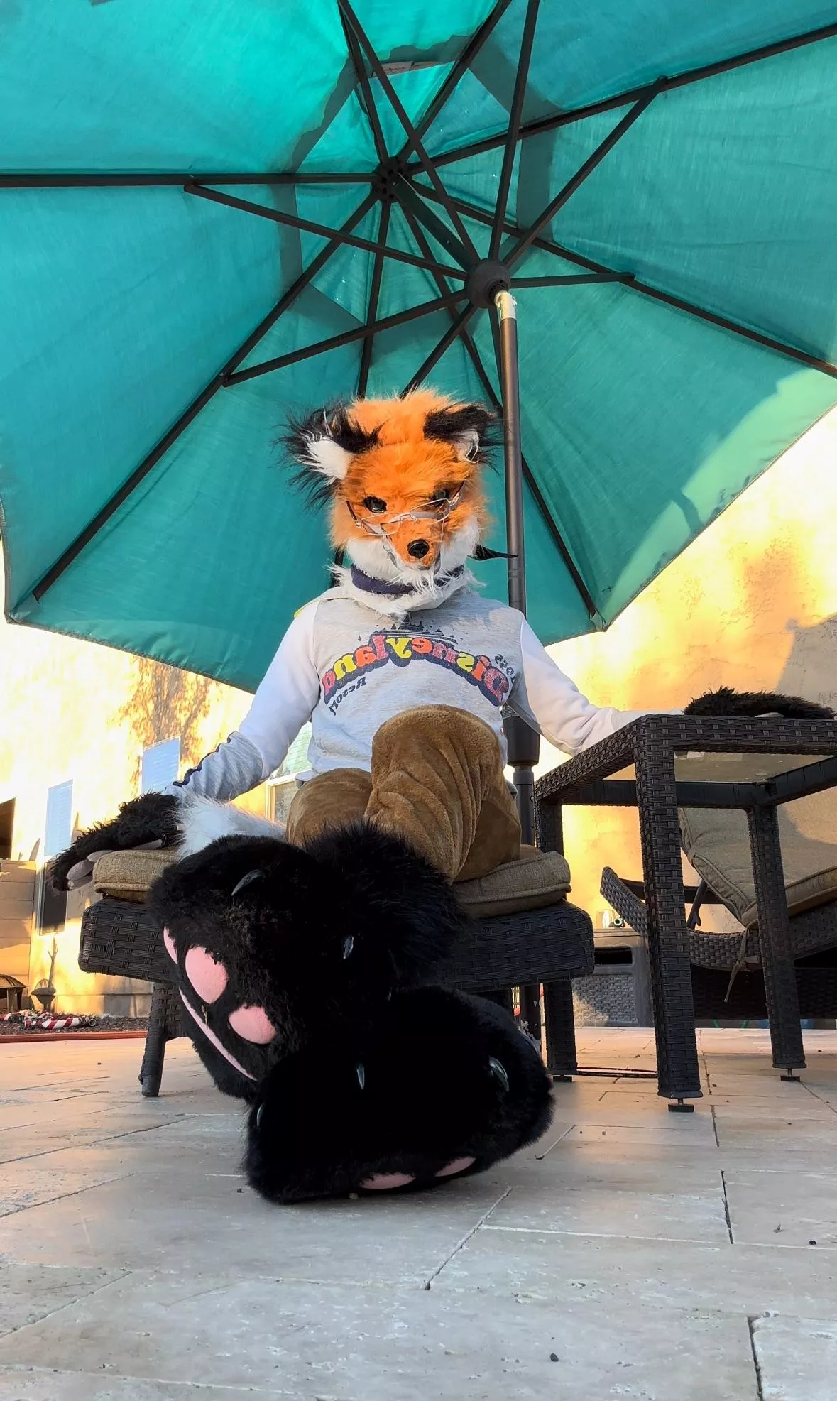 Under the umbrella ☂️ 🦊