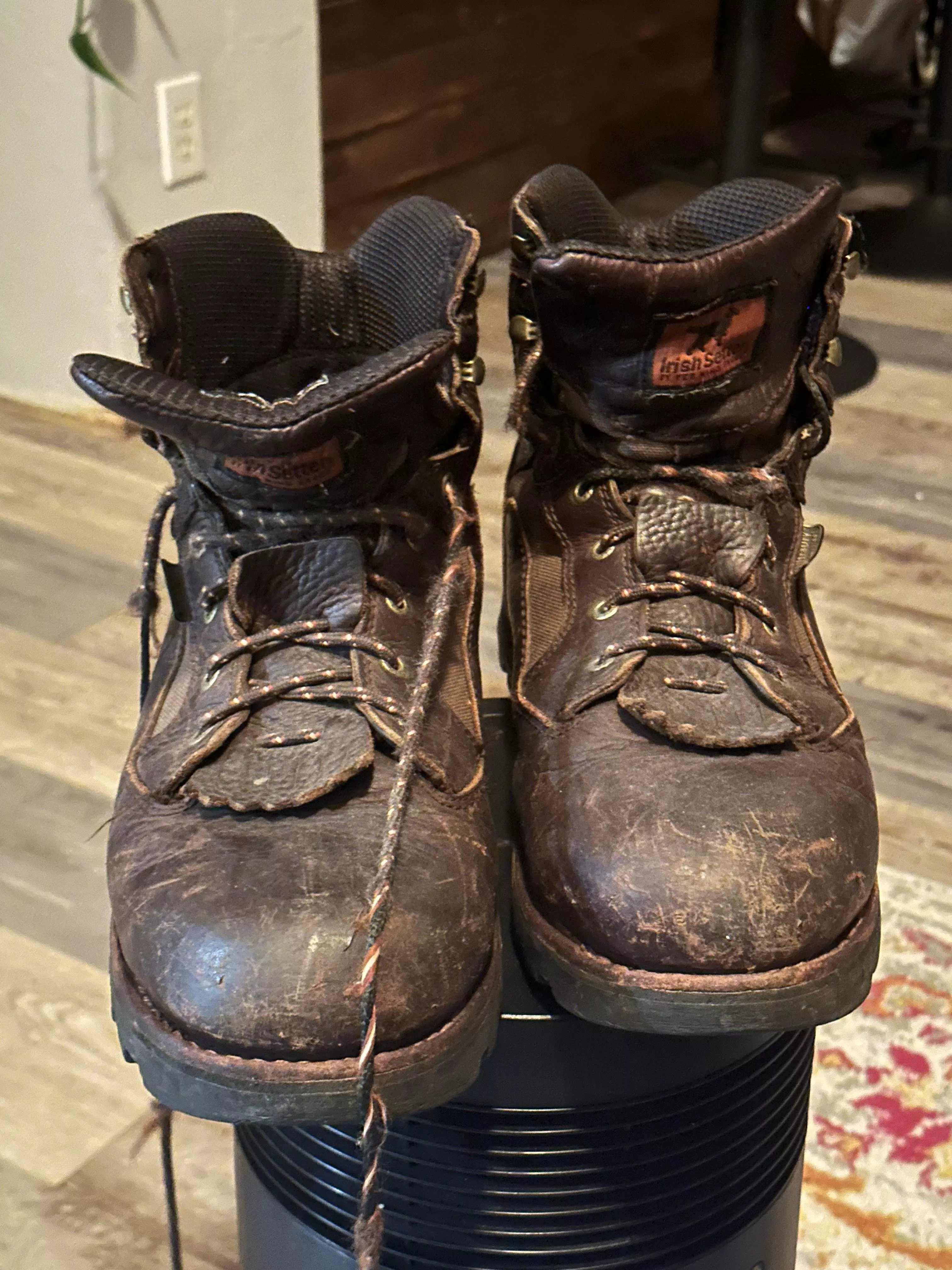 What model Irish Setter are these?