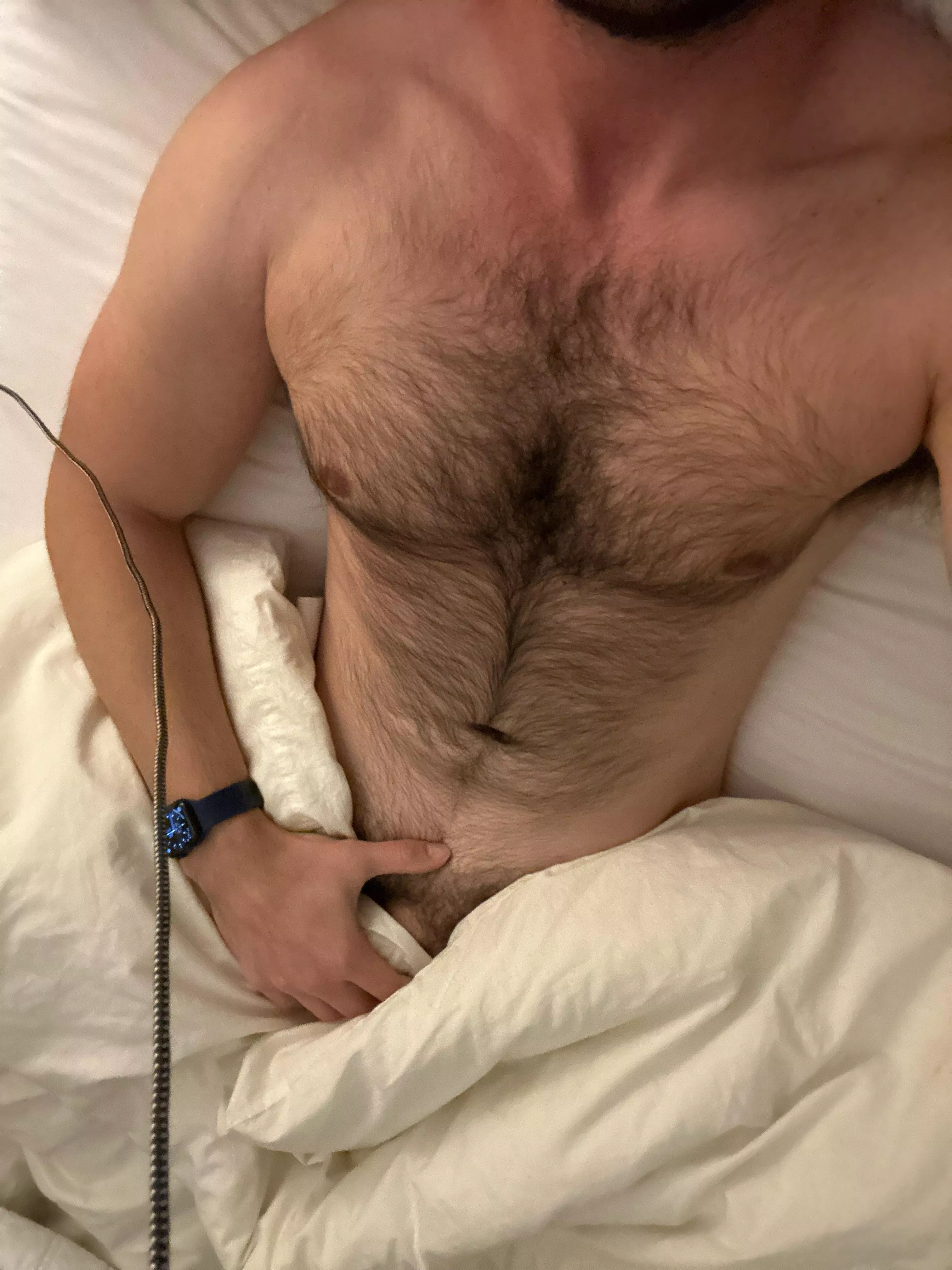 26m masc hairy. Fit/masc/curious guys or gooners hmu. Sc thebennyjoejoe