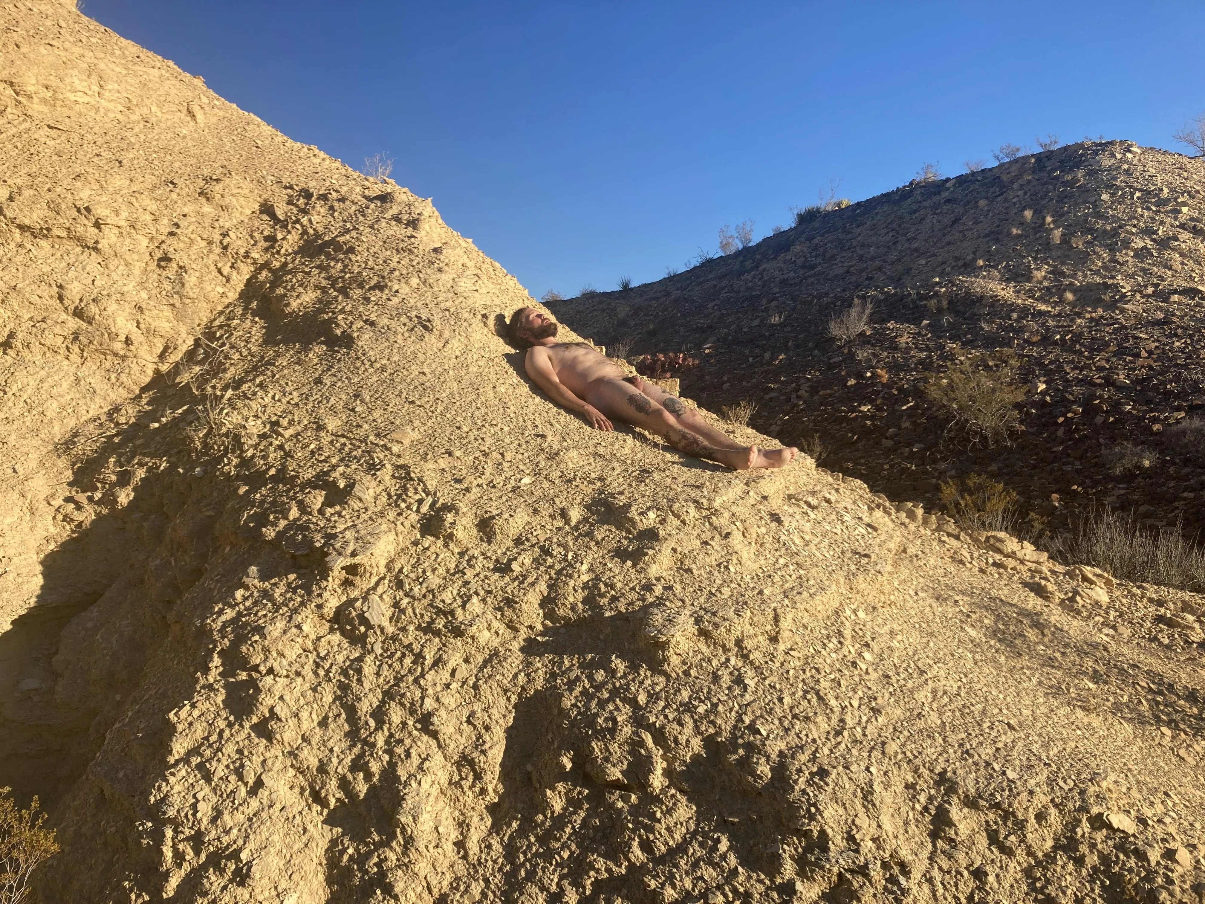 Blending into the landscape