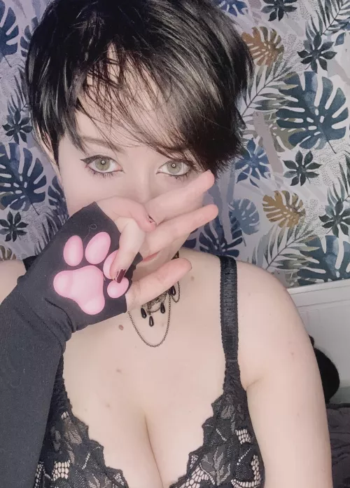 Can't Pack Them In Today