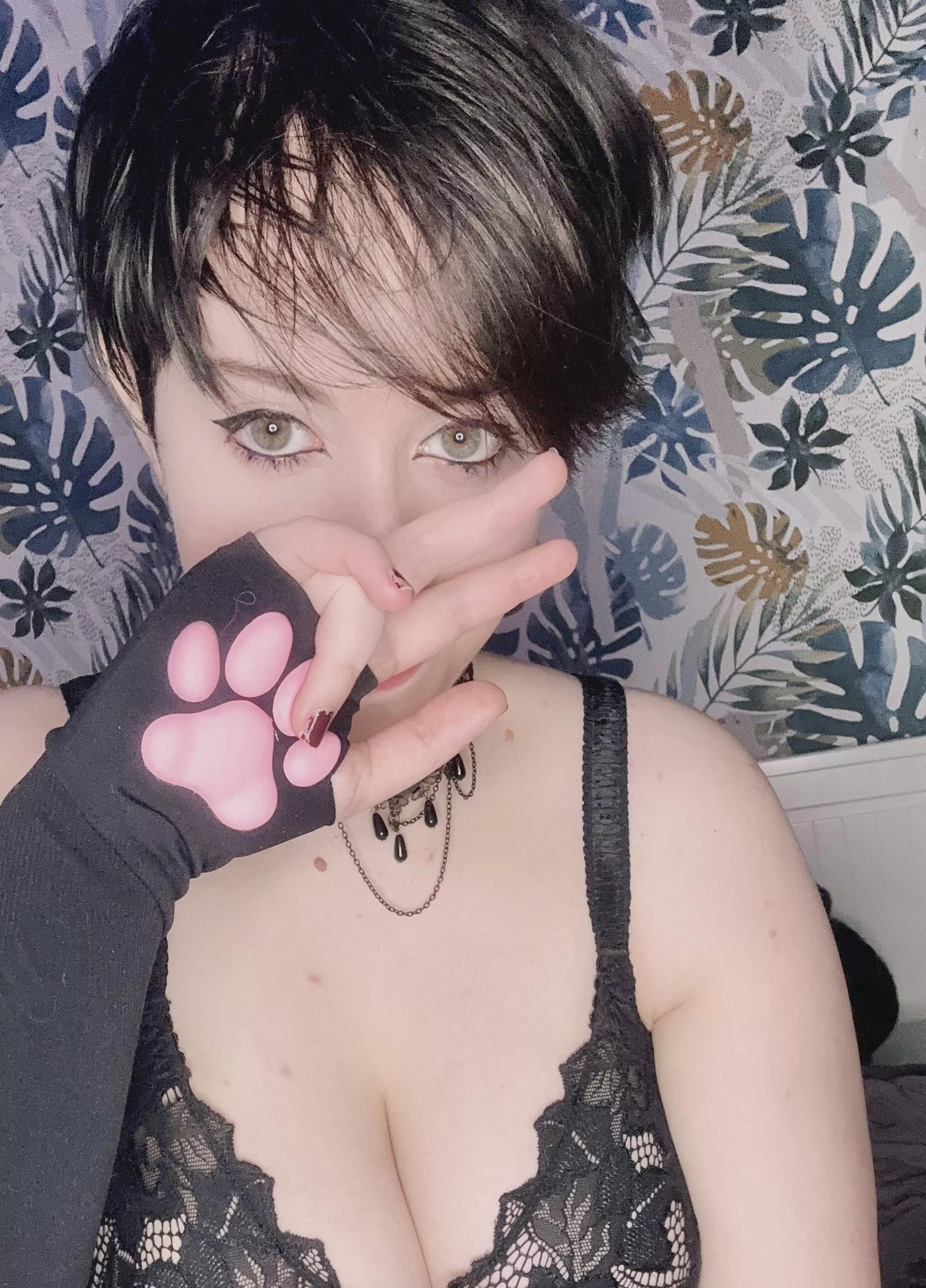 Can't Pack Them In Today