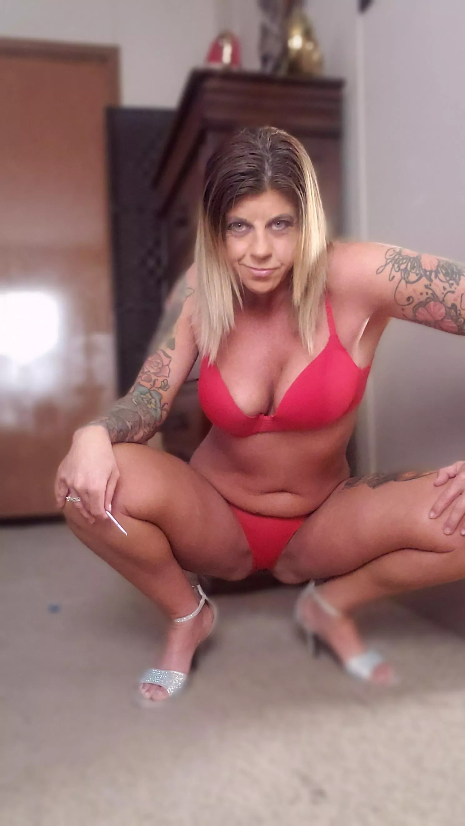 Cougar waiting to pounce