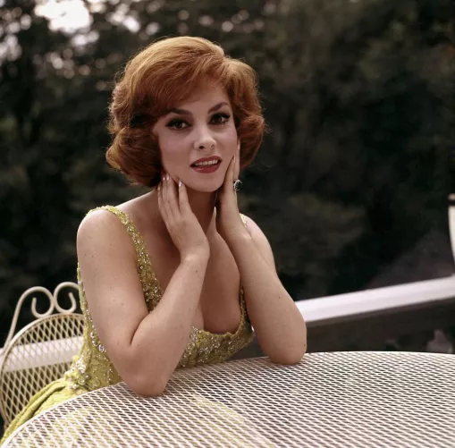 Gina Lollobrigida (1960s)