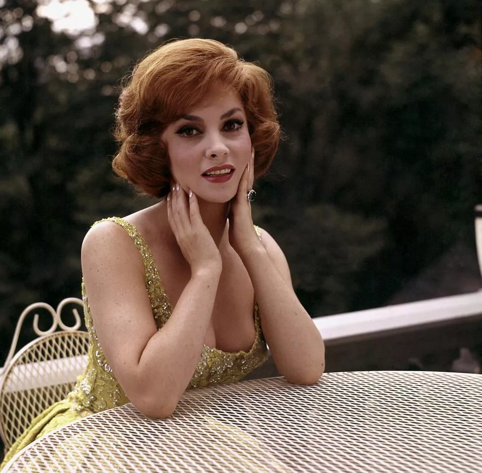 Gina Lollobrigida (1960s)