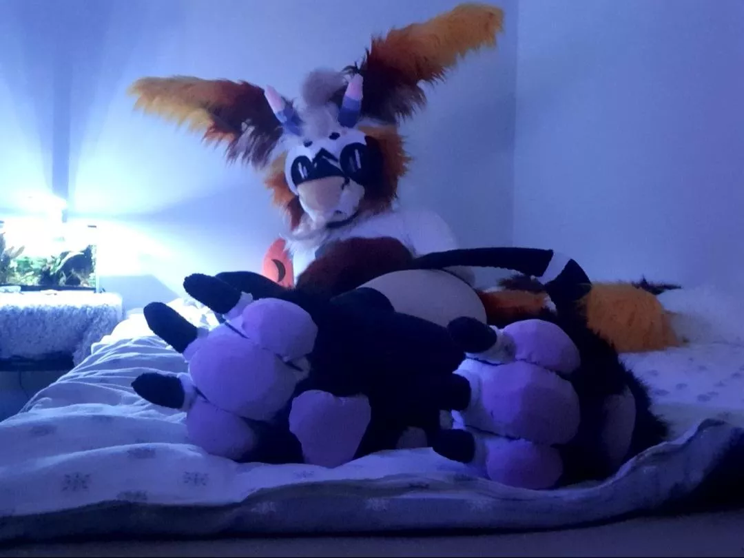 hello im new here *shoves paws in ur face* :3