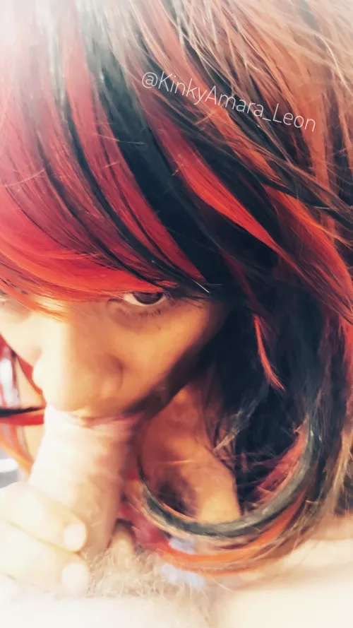 How I love to suck white cocks <3