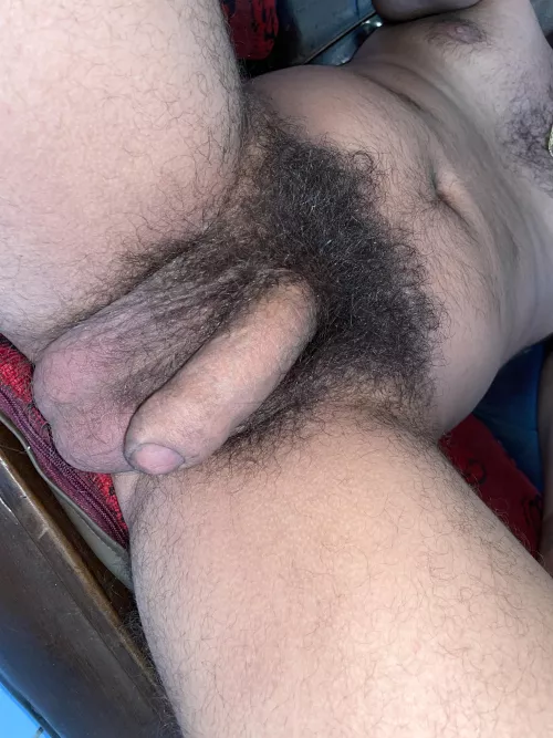 I’m calm looking at my bush and my heavy balls