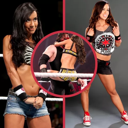 In celebration of Punk’s return, time to “admire” AJ Lee