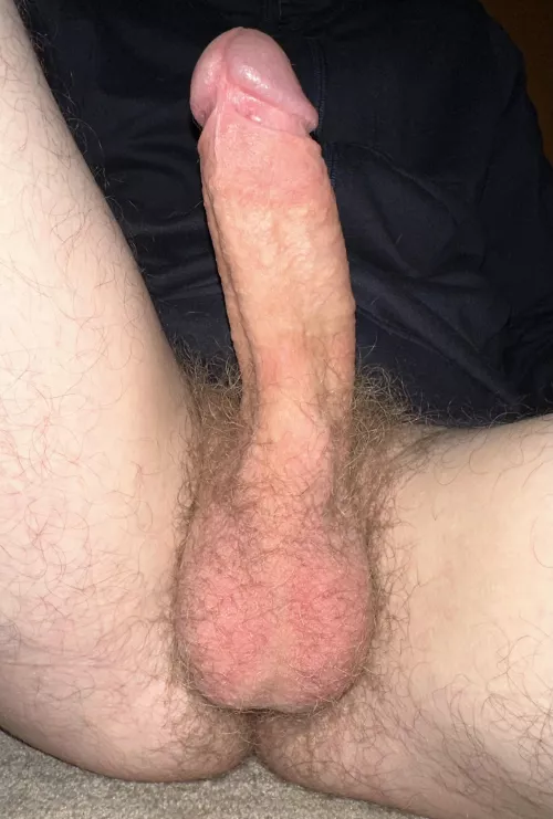 My hairy cock