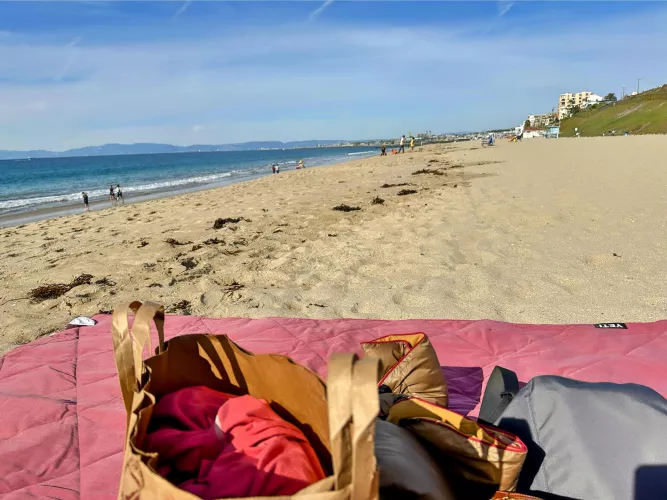 Redondo Beach 11/26/2023