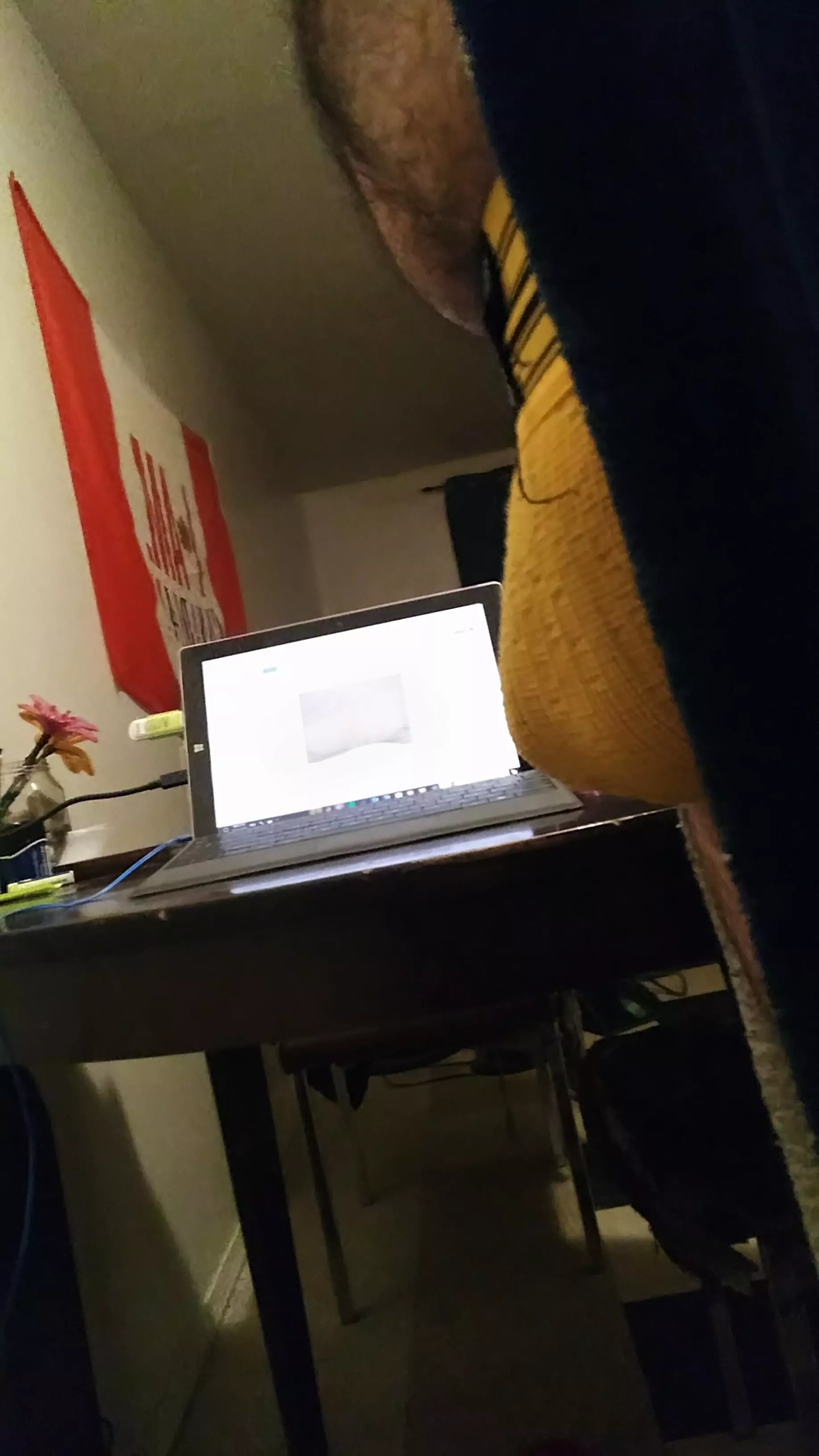 Still pervin hard.. What's on the screen? :o 😈