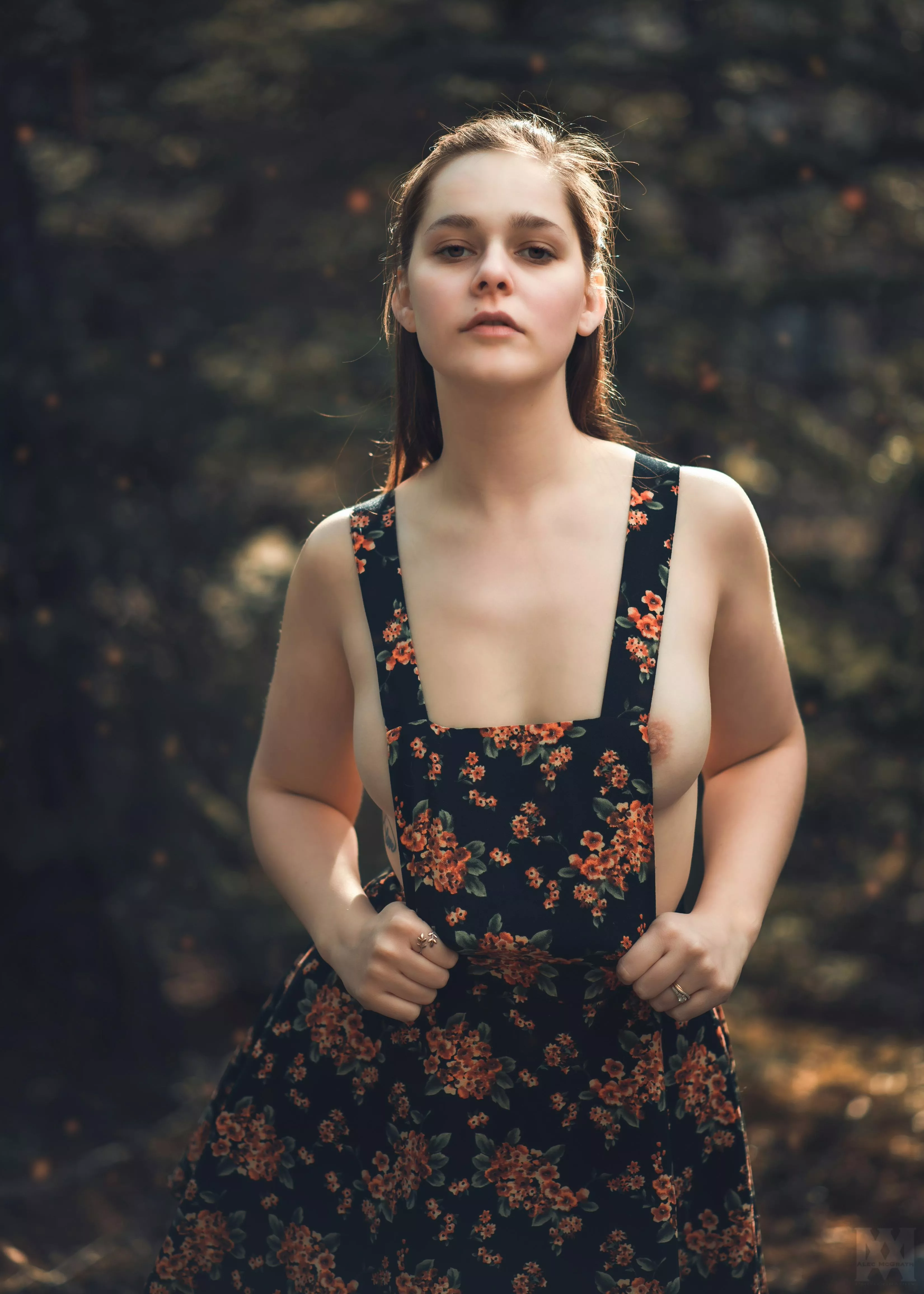 Welcome to my forest