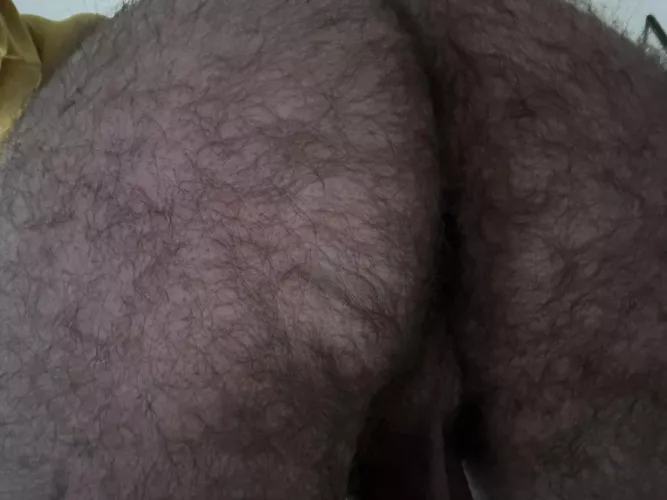 What would you like to do to this hairy ass?