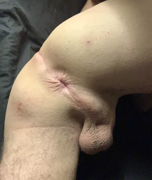 Would you buttfuck me like this?