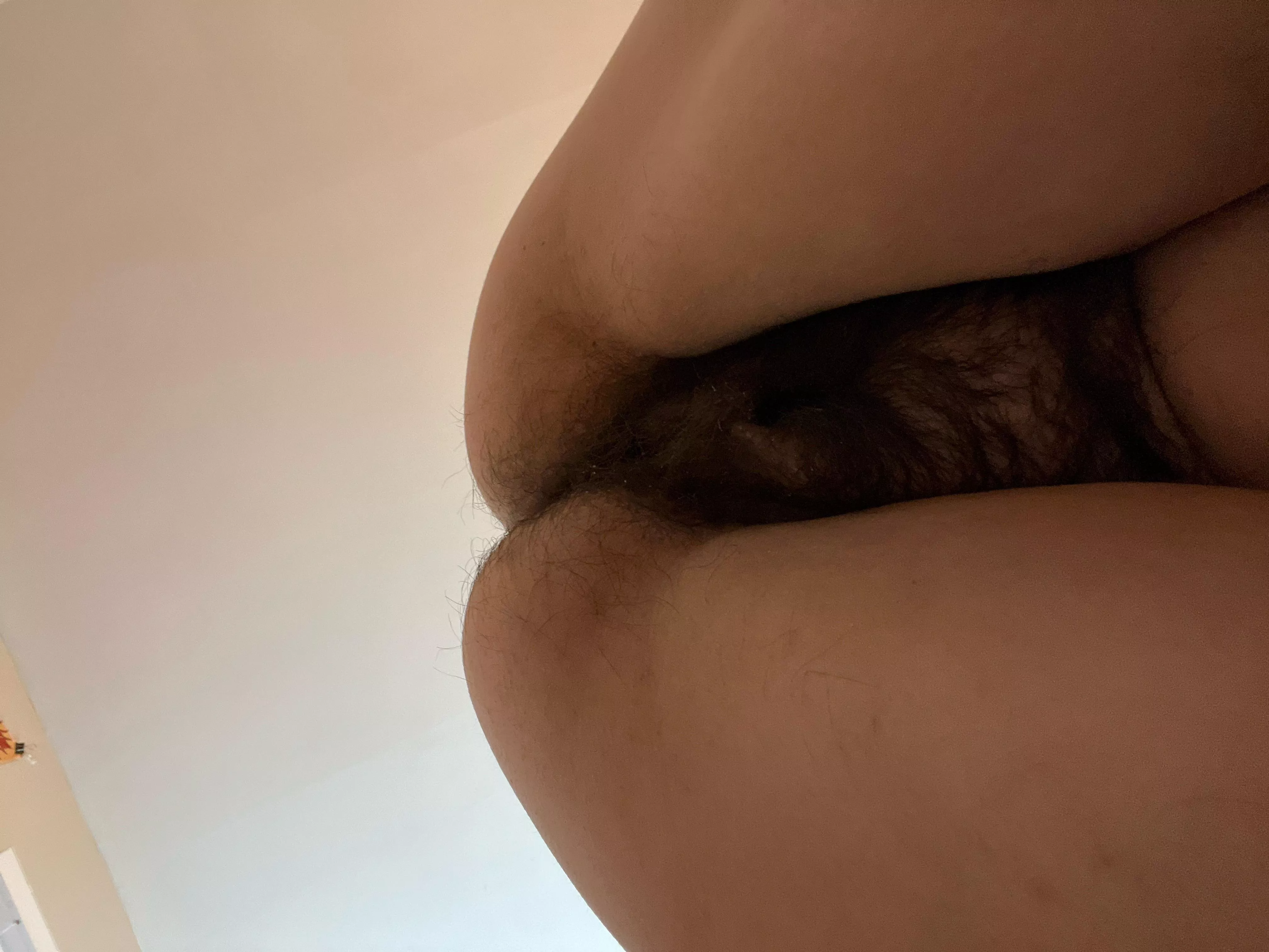 Would you let me sit on your face?