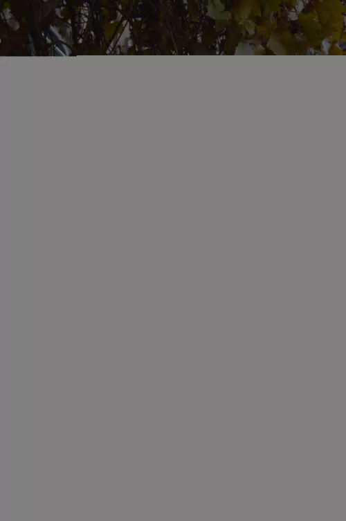 Would you like a neighbor like this across the street?