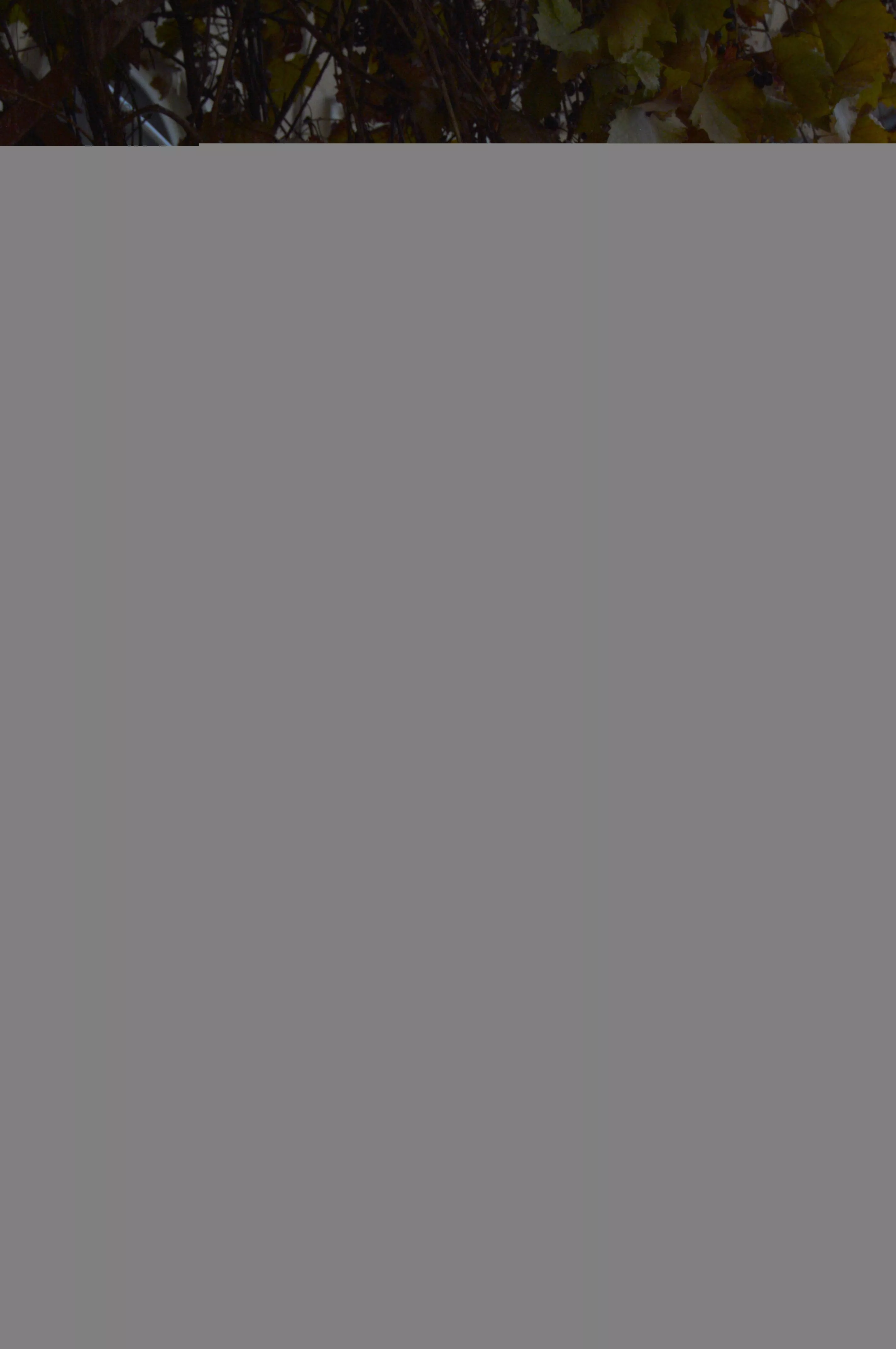 Would you like a neighbor like this across the street?