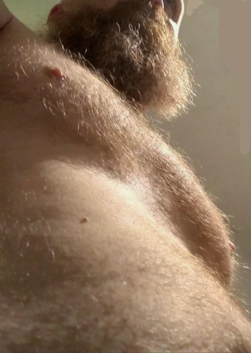 You guys like ginger bears?