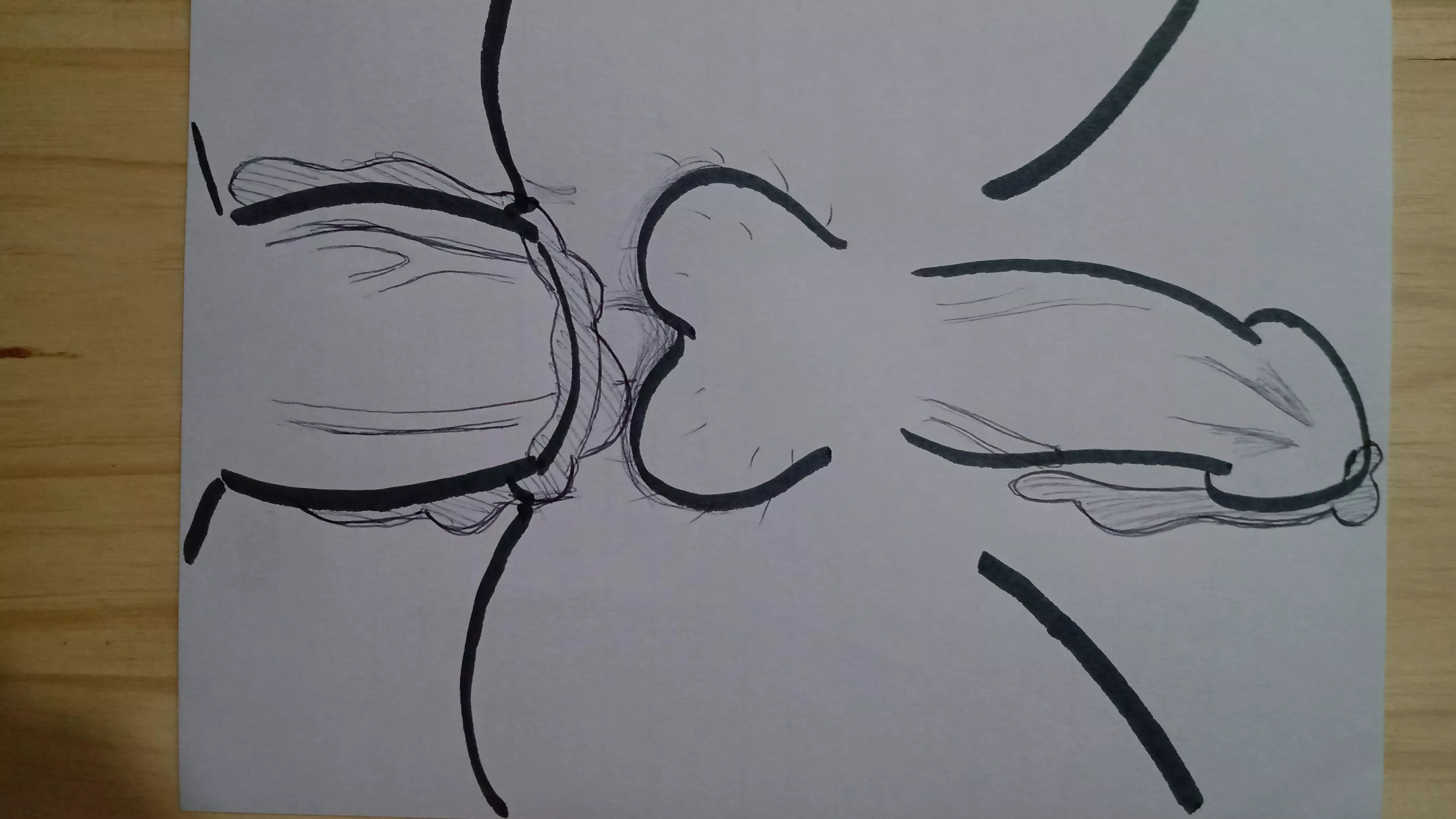 You like my drawing??