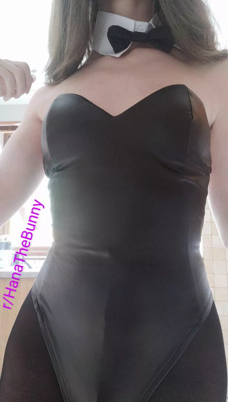 Anyone wants to give this bunny girl some use and attention? I love wearing this