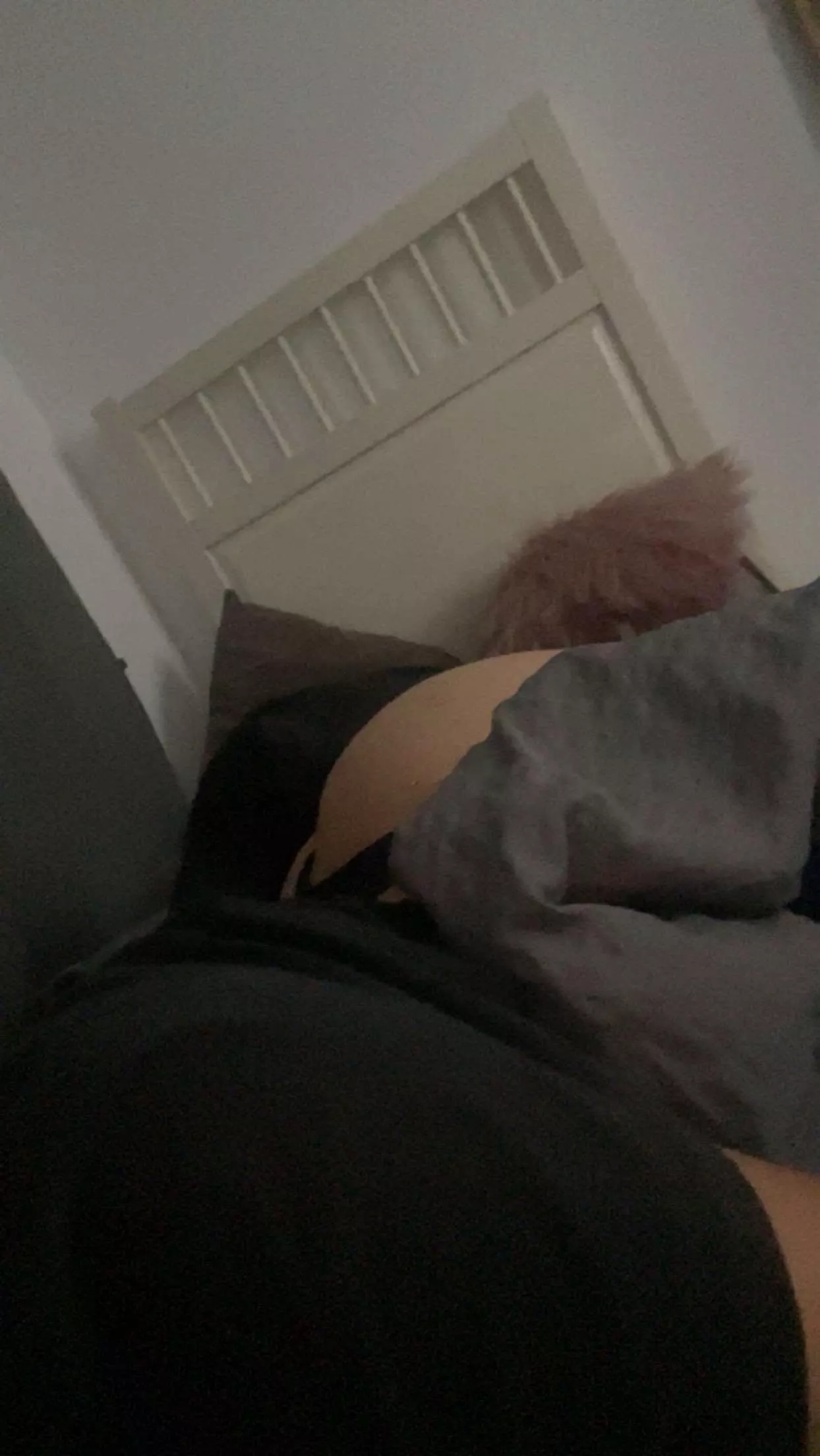 Do you want to eat my ass?