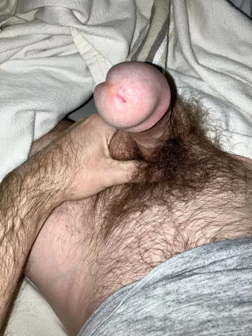 For the few who are here looking for completely untamed