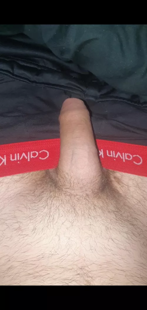 Here is my cock