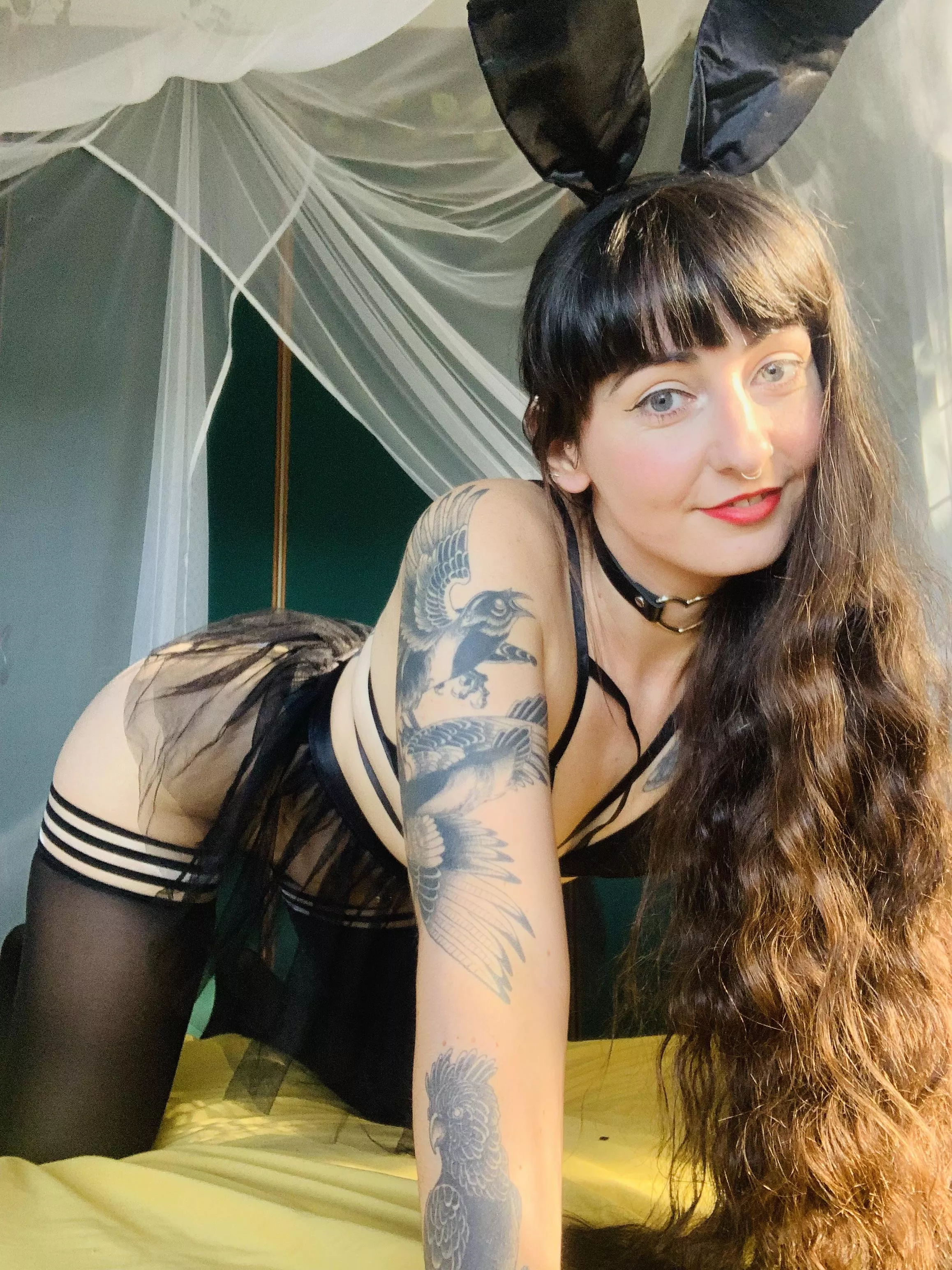 I just need someone to help me with my tail…