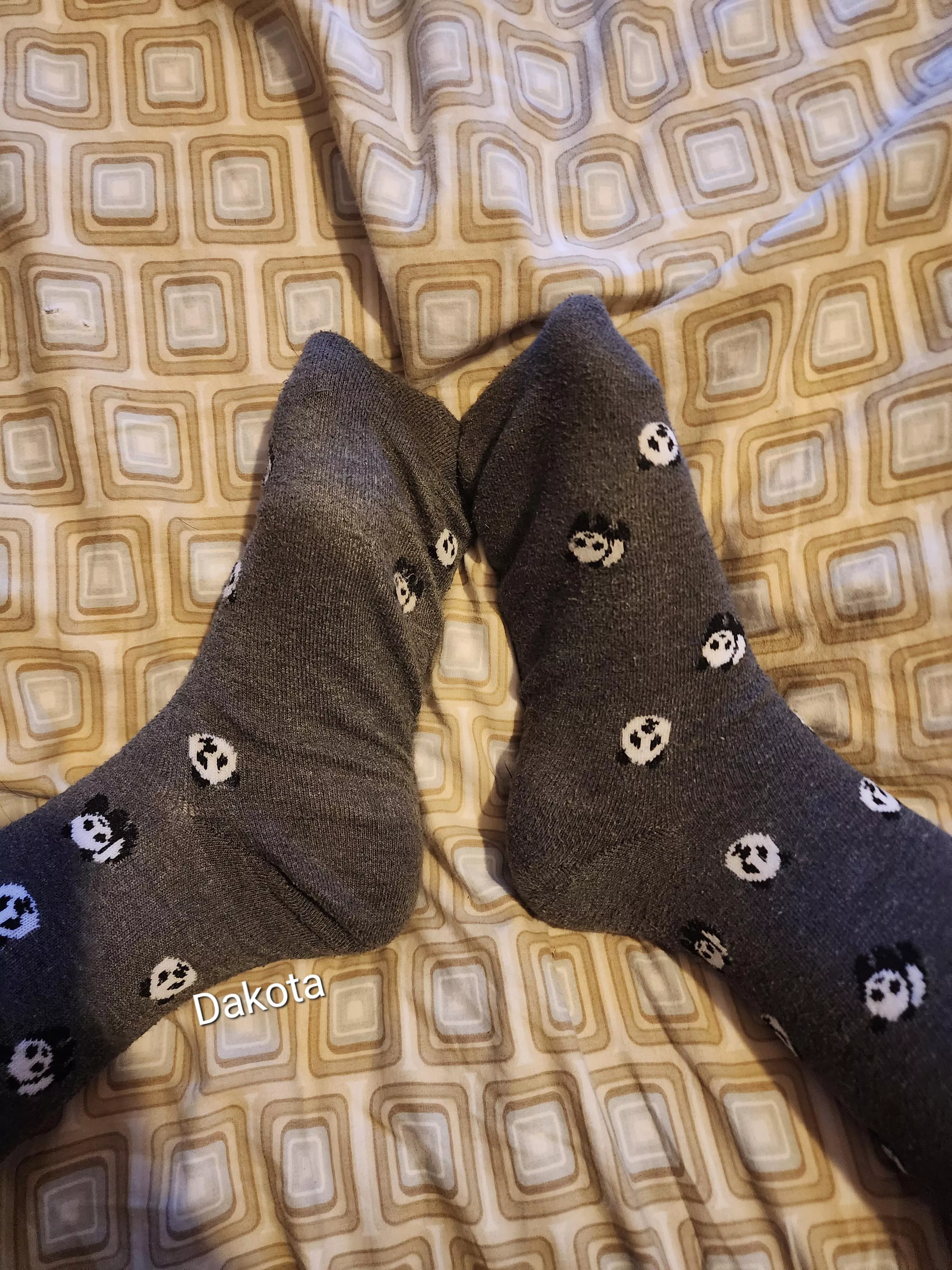 I love to show off my sweaty cute socks! Today, my pandas need some loving☺️