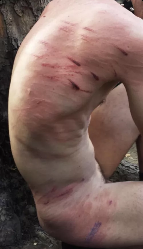 new to bdsm, wondering what would leave marks like these? thanks :)