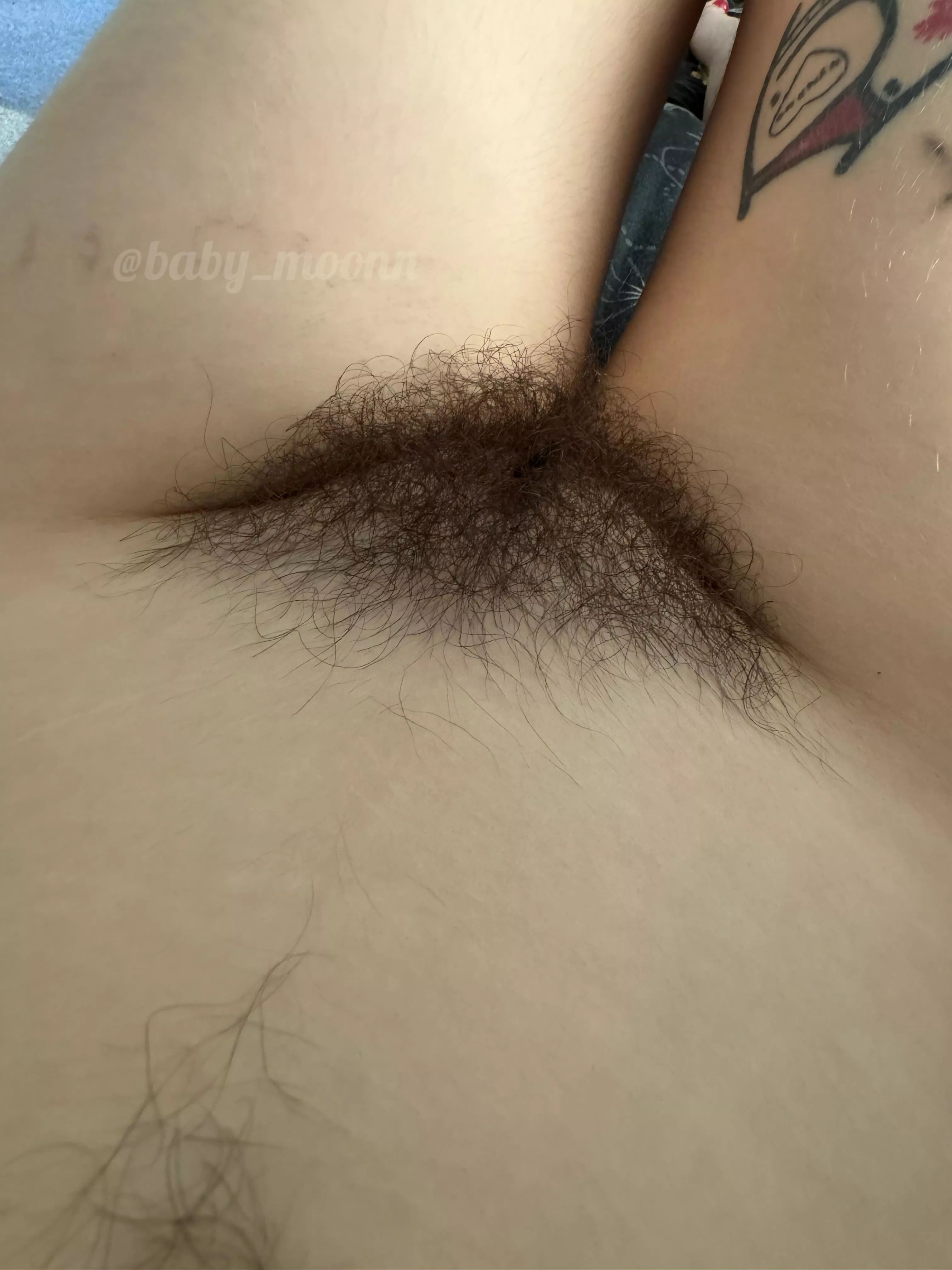 No shave November has been super fun!