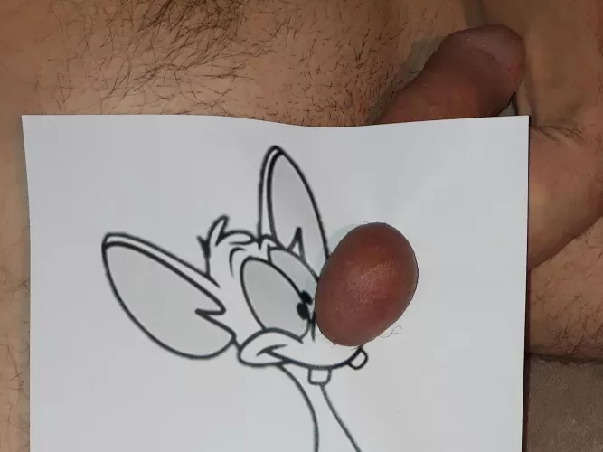 Pinky and the ... ball