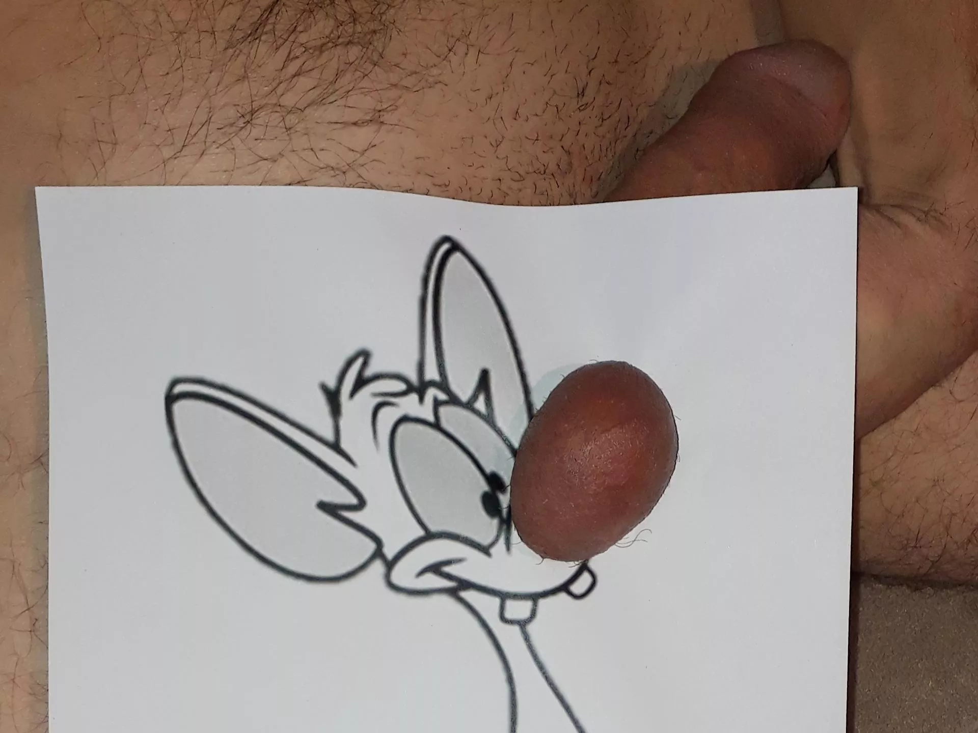 Pinky and the ... ball