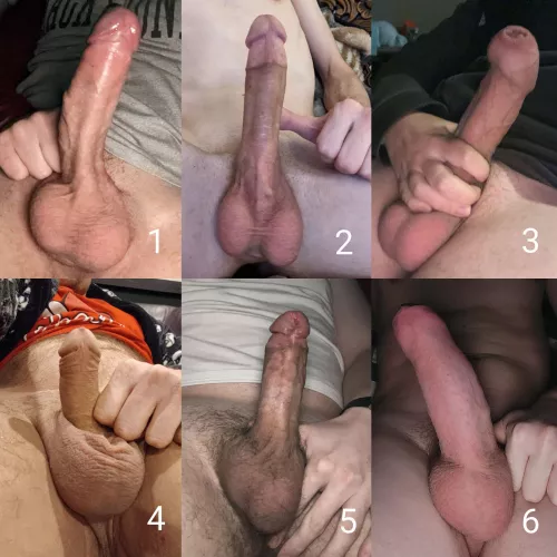 Rank these from favorite to least favorite (and send me similar pics if you want to be in the next one)