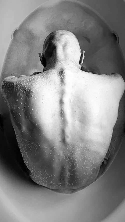 The unknown feels familiar. Its living warmth should startle... instead it guides like a current of light, expanding space by bringing only what moves.