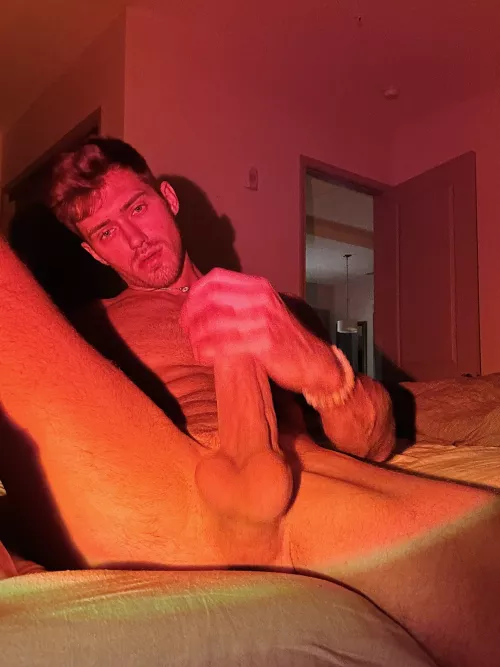 Would you like some cock before bed?