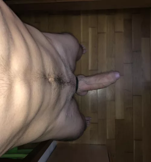 18 cock ready to be judged (not at its prime erection)