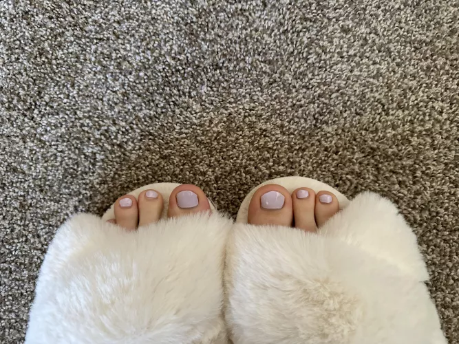 Anyone else like their toes best in big fluffy slippers?