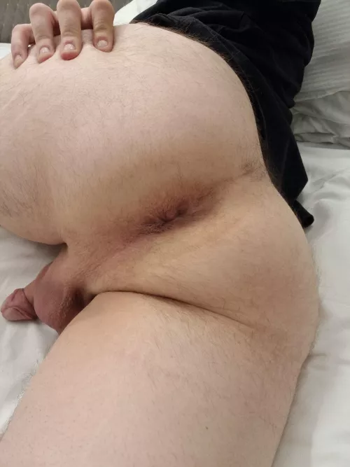 Begging to be fucked, how are you attacking me first?