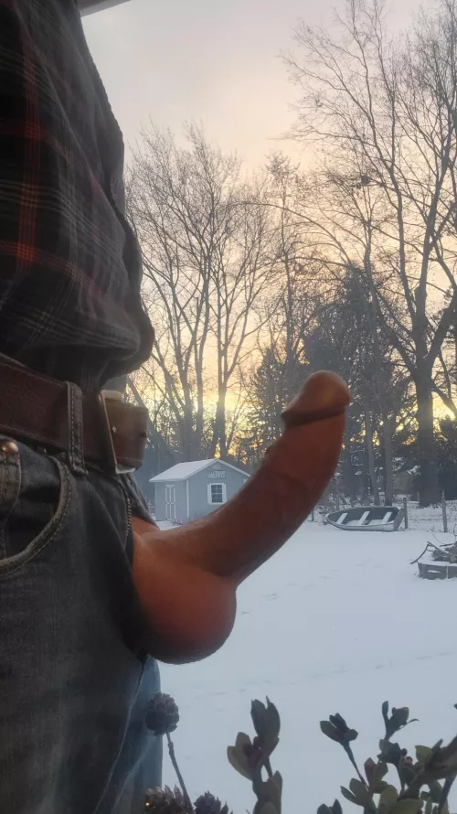 Buckeye Wood (61) sunrise