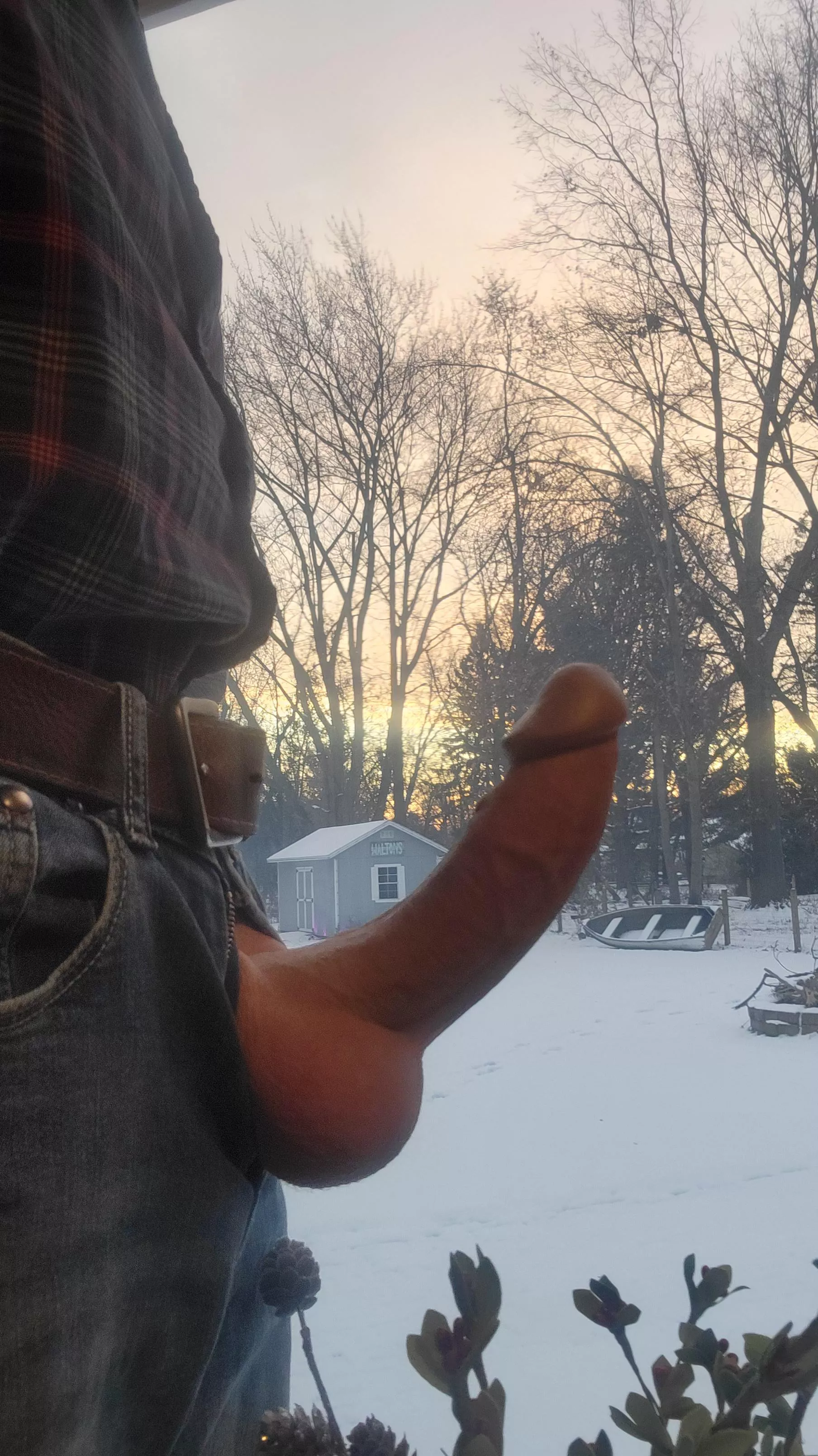 Buckeye Wood (61) sunrise