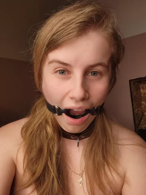 Choose your own adventure