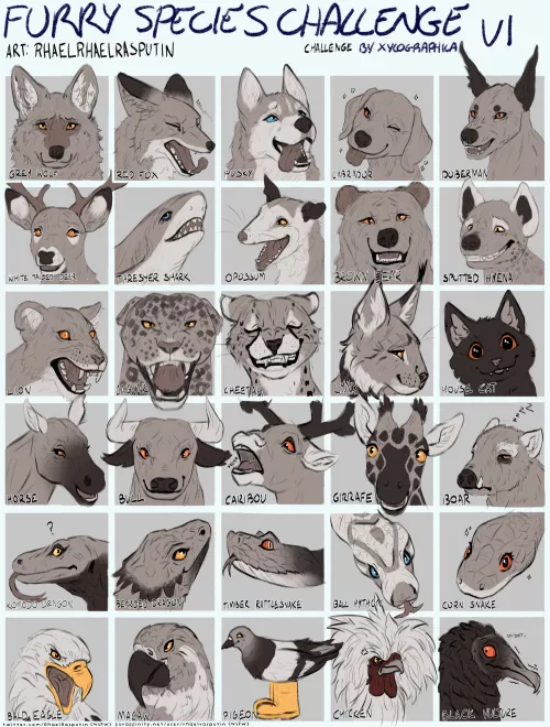 Furry Species Challenge (Art by me)