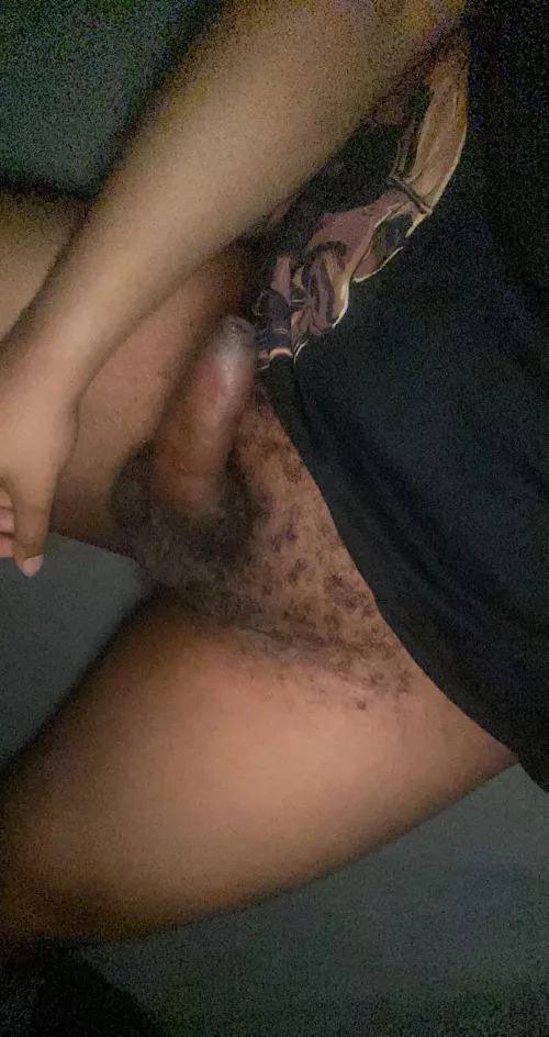 Looking for single bottoms that are looking to date a 25 year old nerdy black bear.